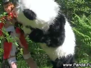 Plush panda fairytale pour rouge chevauchée capot