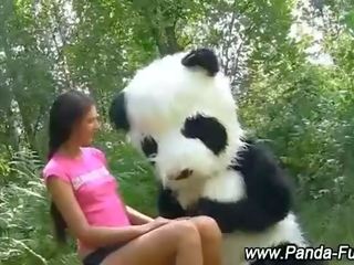 物神 青少年 得到 它 上 同 玩具 panda