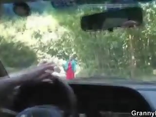 Vieux chienne obtient cloué en la voiture par une étranger